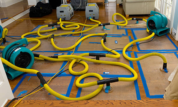 Professional Burst Pipe Water Damage technician working in Eudora, AR